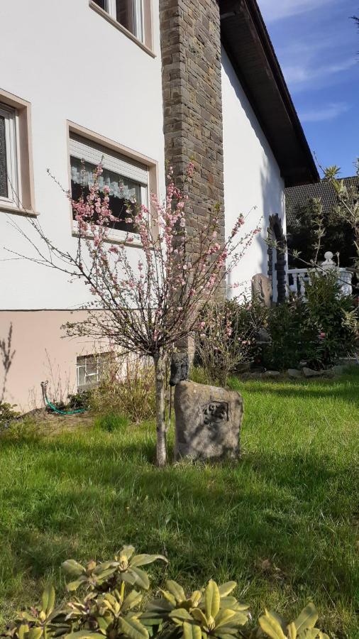 Im Vulkanland Fewo Bis 6 Personen Ettringen  Exteriör bild